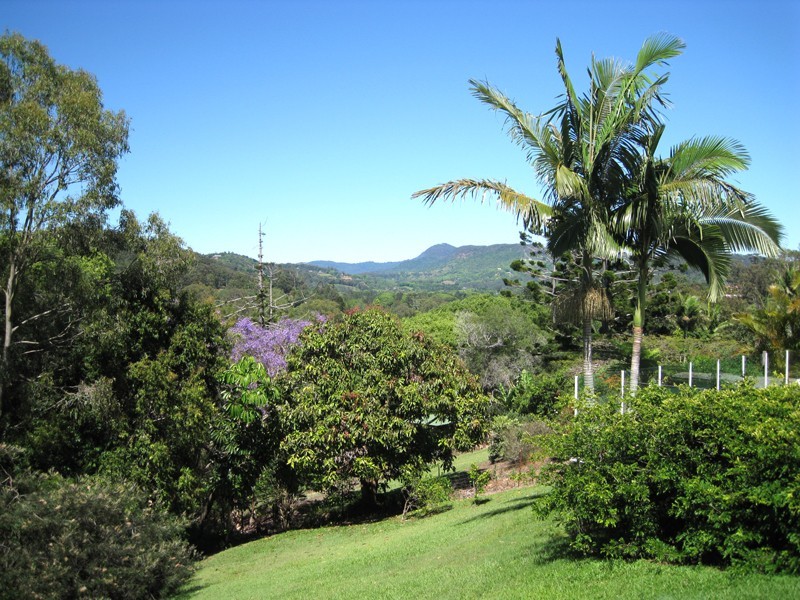 132 Tierney Drive, Currumbin Waters QLD 4223