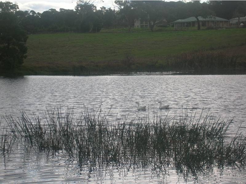 415 Warrandyte Road, Langwarrin South VIC 3911