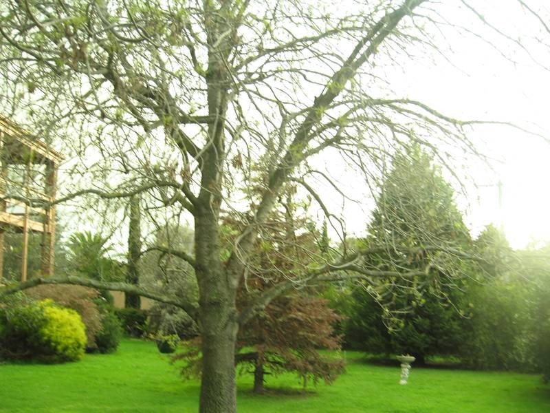 7 Sanders Road, Frankston South VIC 3199