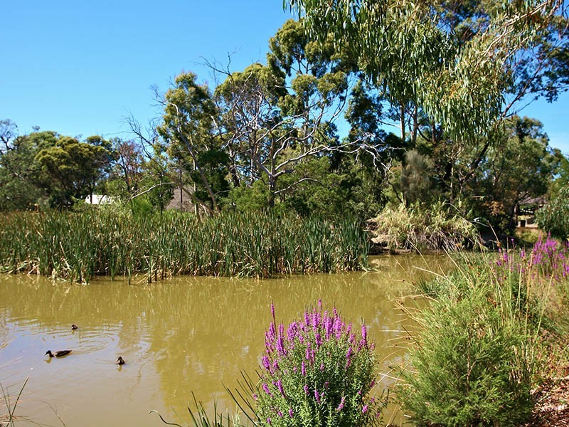 16 Shaxton Circle, Frankston VIC 3199