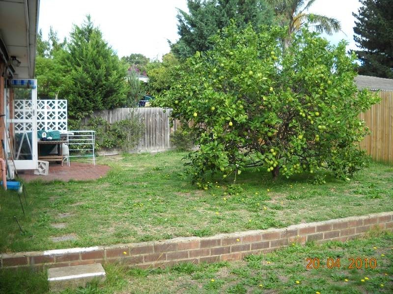 3 Gavan Court, Frankston VIC 3199