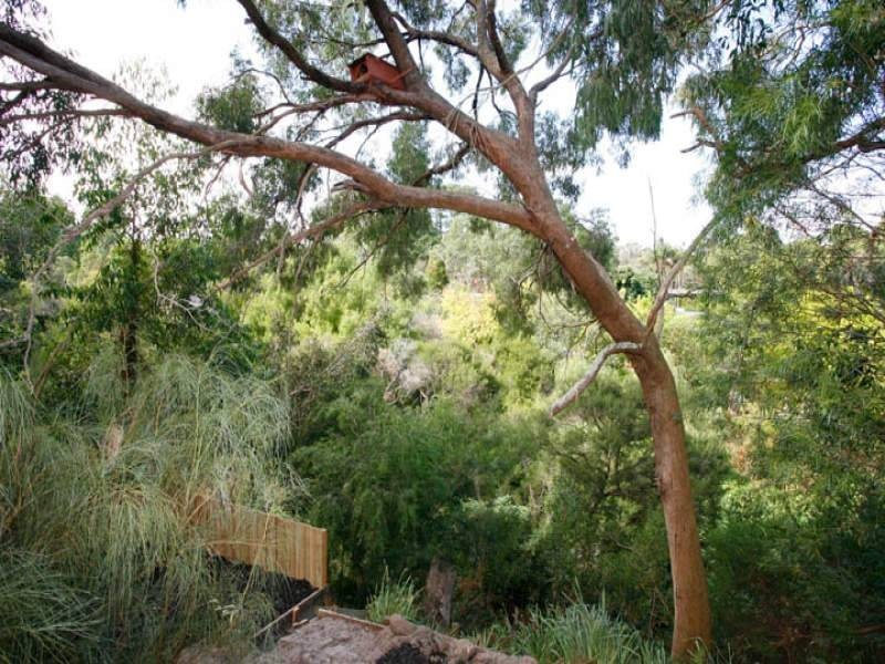 42 Woolston Drive, Frankston South VIC 3199