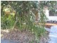 56 Finlay Street, Frankston VIC 3199