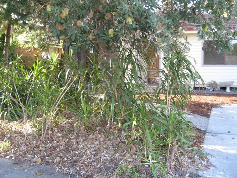56 Finlay Street, Frankston VIC 3199