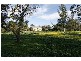 105 Weeroona Road, Langwarrin South VIC 3911