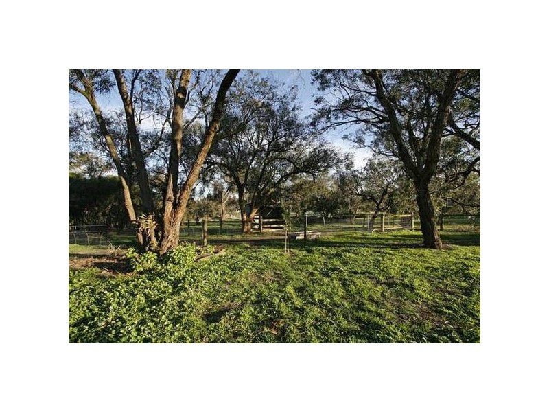 105 Weeroona Road, Langwarrin South VIC 3911