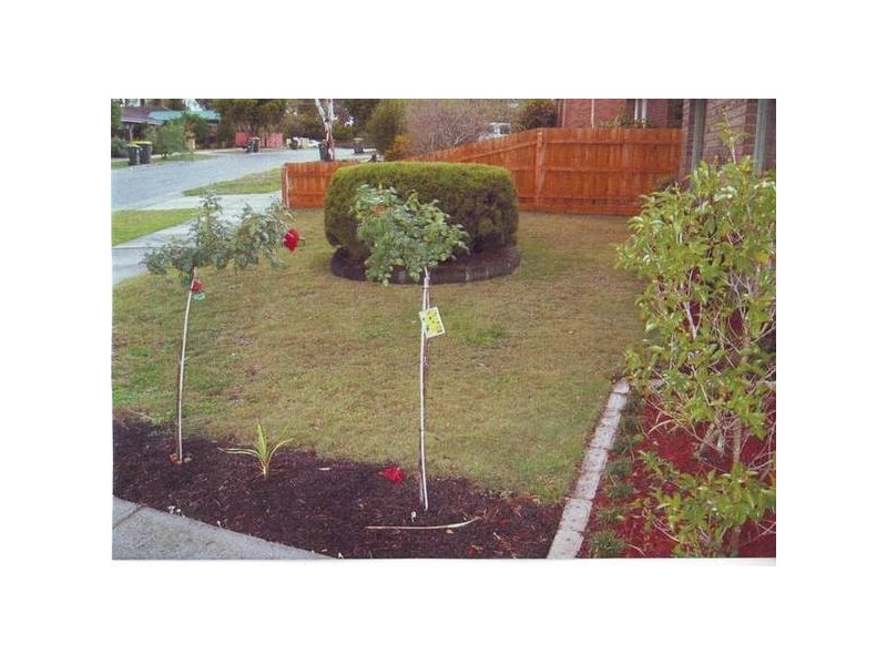 Monze Drive, Langwarrin VIC 3910