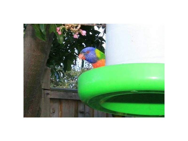 4 Ithaca Road, Frankston South VIC 3199