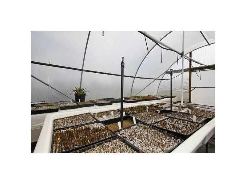 235 Baxter-tooradin Road, Baxter VIC 3911