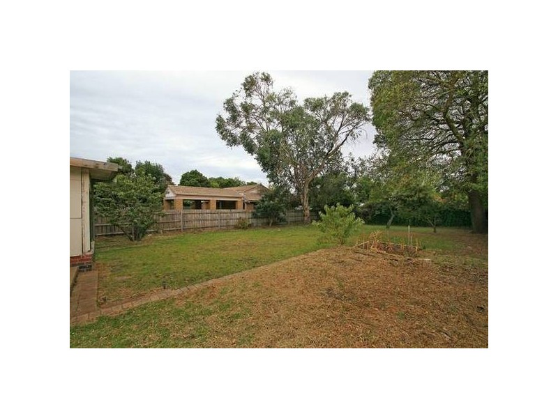 36 Coprosma Avenue, Frankston VIC 3199