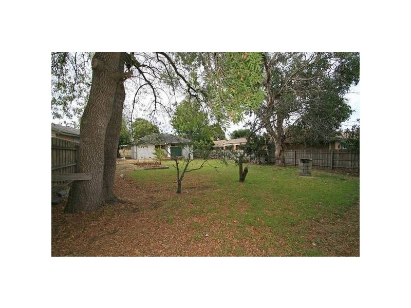 36 Coprosma Avenue, Frankston VIC 3199