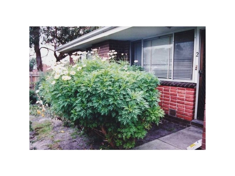 2/11 Bradshaw Street, Frankston VIC 3199