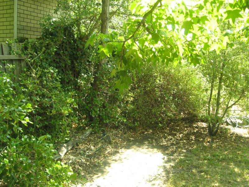 13 Bragge Street, Frankston VIC 3199