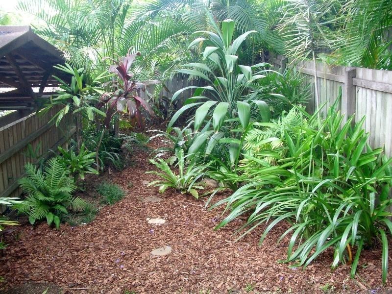 7 Long Street, Paddington QLD 4064