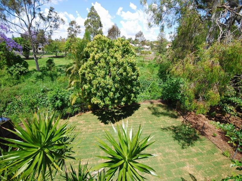 37 Dorrington Drive, Ashgrove QLD 4060