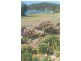 Woy Woy NSW 2256