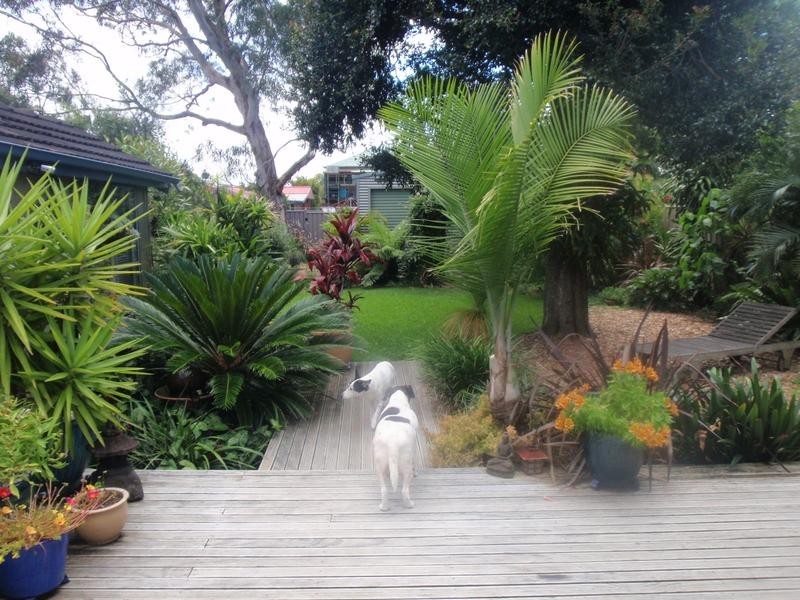 41 Pozieres Avenue, Umina Beach NSW 2257