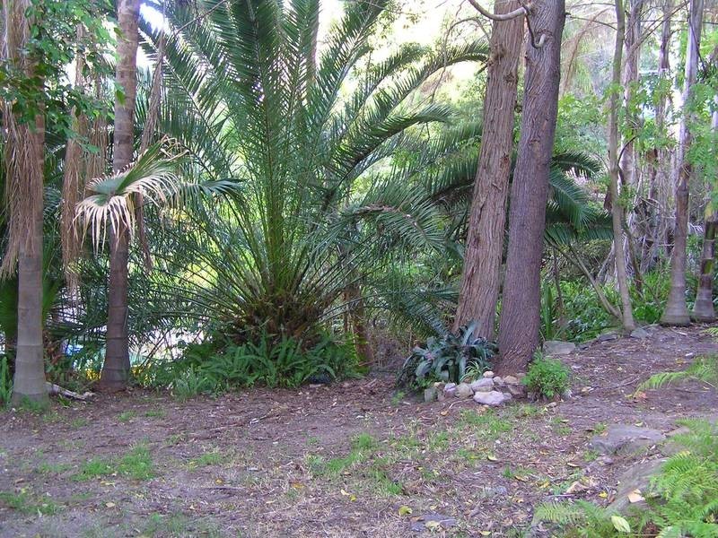 Umina Beach NSW 2257