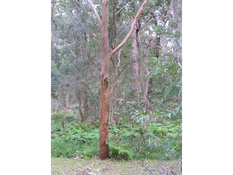 Pearl Beach NSW 2256