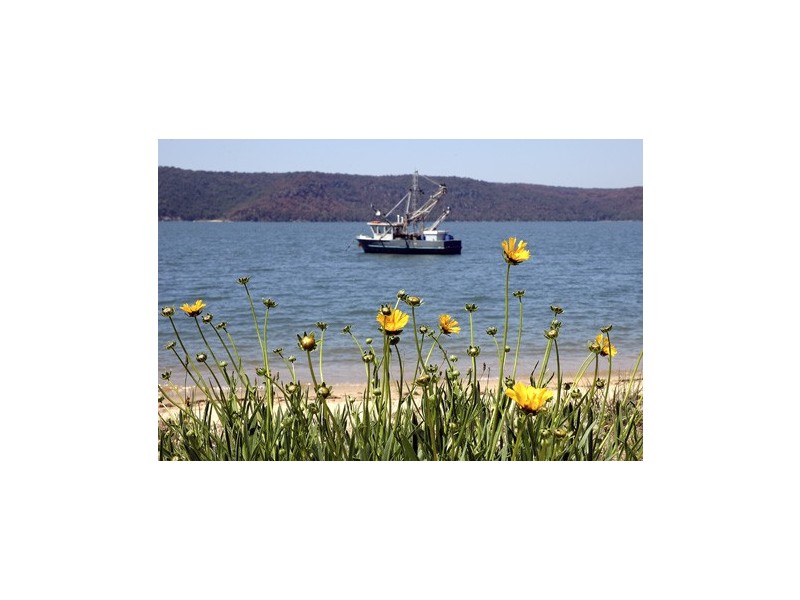 Patonga NSW 2256