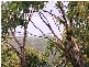 Umina Beach NSW 2257