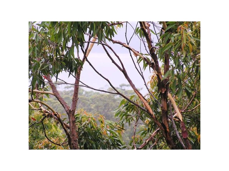 Umina Beach NSW 2257