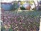 Woy Woy NSW 2256