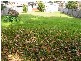 Woy Woy Bay NSW 2256