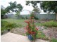 Woy Woy NSW 2256