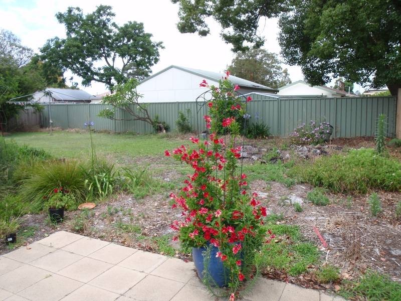 Woy Woy NSW 2256