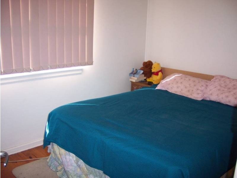 11 Hasselburgh Street, Tregear NSW 2770