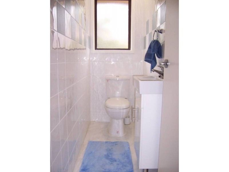 11 Tapp Place, Bidwill NSW 2770