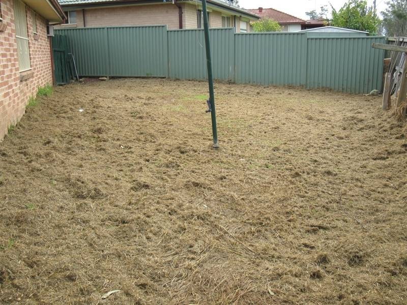 3 Morehead Avenue, Mount Druitt NSW 2770