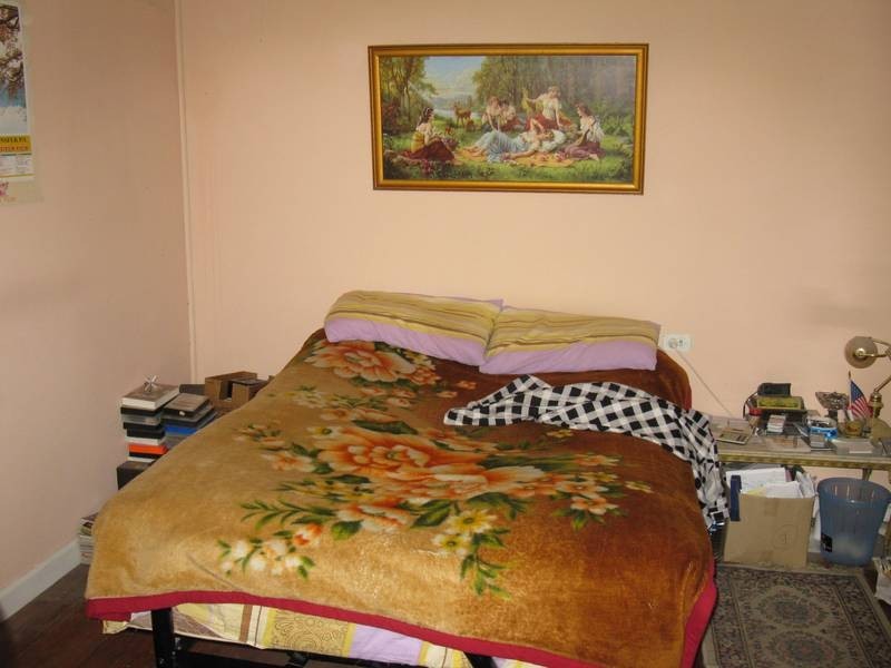 30 Palmerston Road, Mount Druitt NSW 2770