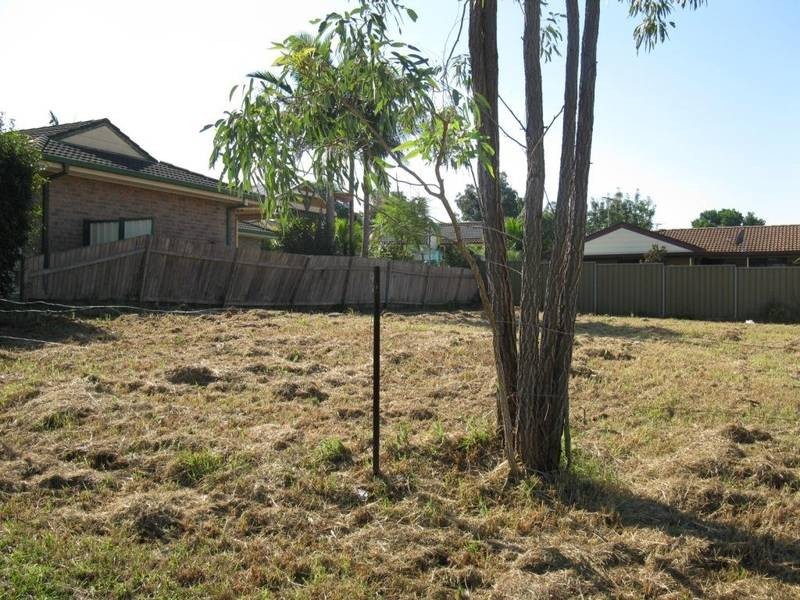 19 Walker Street, Quakers Hill NSW 2763