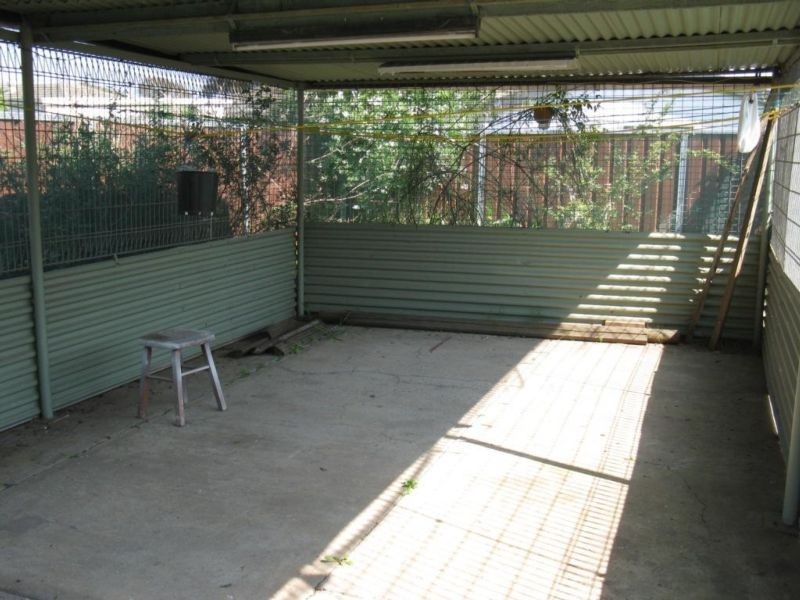 209 Popondetta Road, Blackett NSW 2770