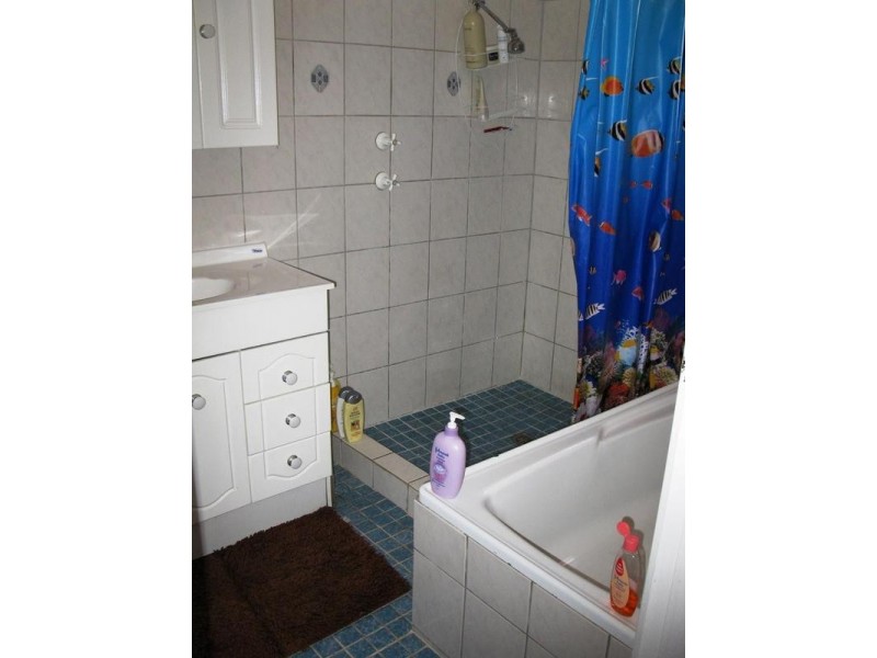 17 Hickler Grove, Bidwill NSW 2770