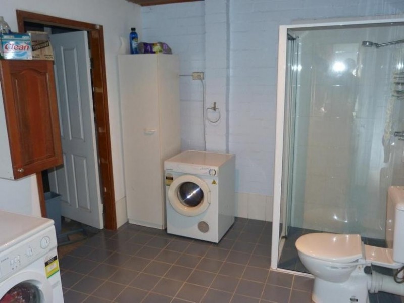 15 Webb Place, Blackett NSW 2770