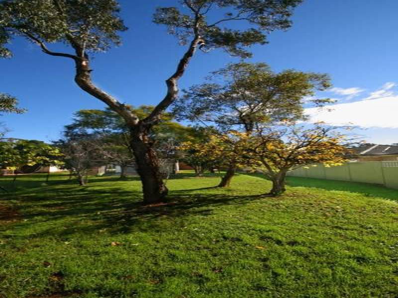 41 Napier Street, Rooty Hill NSW 2766