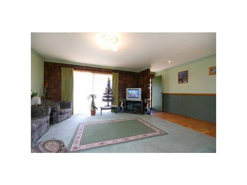 19 Chestnut, Bidwill NSW 2770