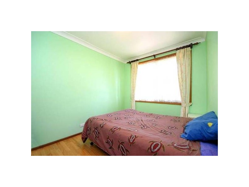 19 Chestnut, Bidwill NSW 2770