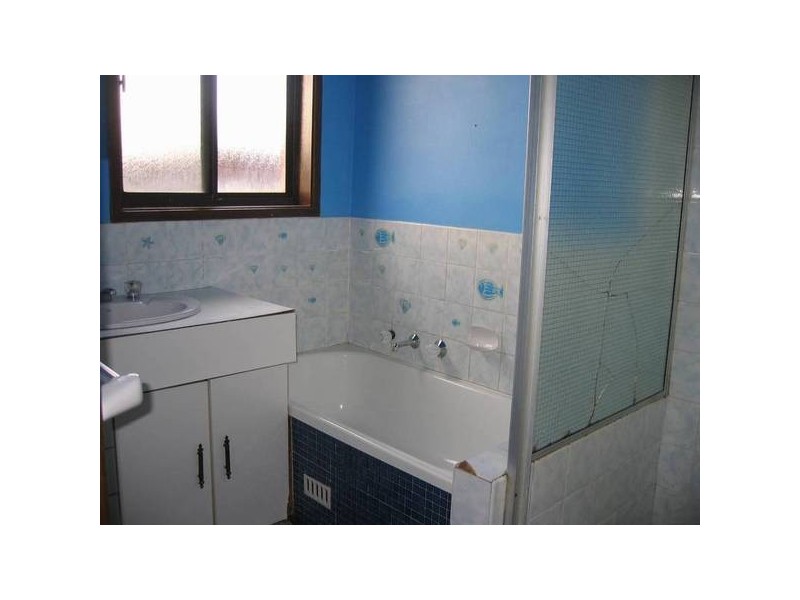 11 Truscott Place, Bidwill NSW 2770