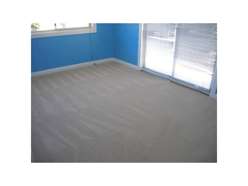 19 Bunsen Avenue, Emerton NSW 2770