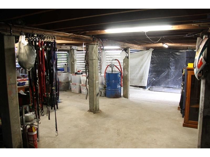 36 Wentworth Street, Leichhardt QLD 4305