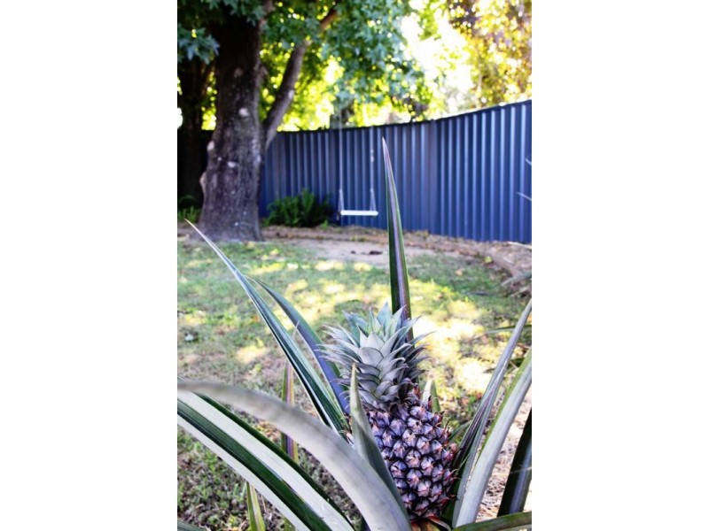 2 Burton Court, Boronia Heights QLD 4124