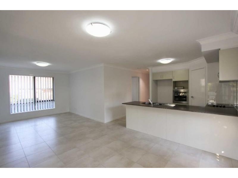 17 Scott Street, Cleveland QLD 4163