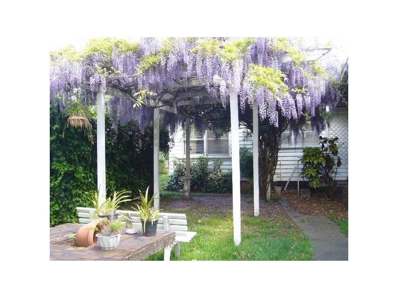 11 Wales Street, Springvale VIC 3171