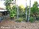 6 Jamie Grove, Springwood QLD 4127