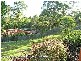 Jasmine Crescent, Shailer Park QLD 4128