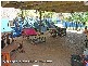 31 Amy Drive, Beenleigh QLD 4207